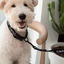 Cargar imagen en el visor de la galería, Carhartt Dog Rope Pet Traction Rope Letter Woven Metal Buckle Nylon Tensile Rope
