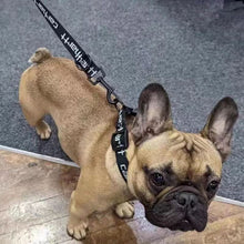 Cargar imagen en el visor de la galería, Carhartt Dog Rope Pet Traction Rope Letter Woven Metal Buckle Nylon Tensile Rope
